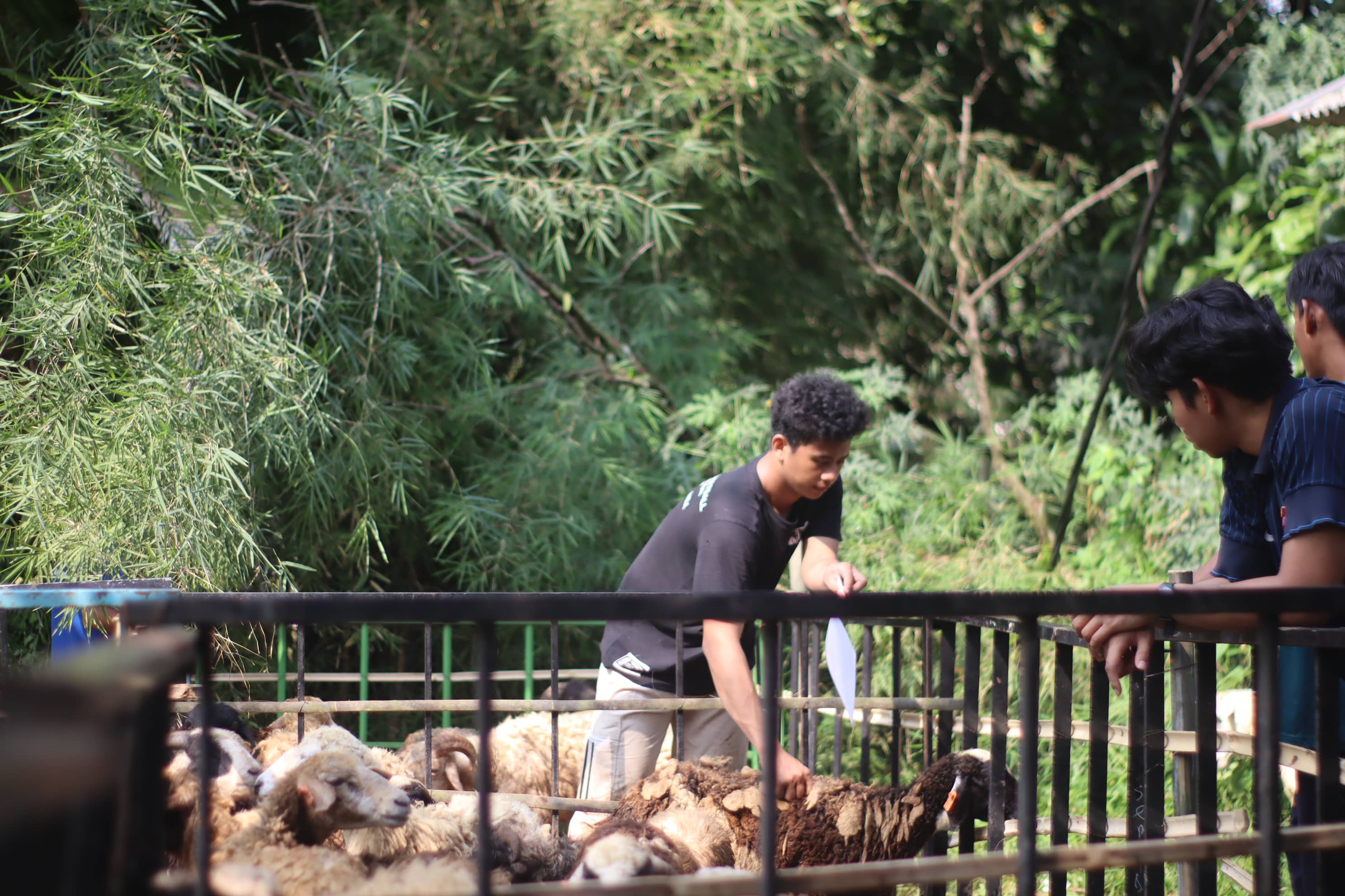 Kegiatan TQB
